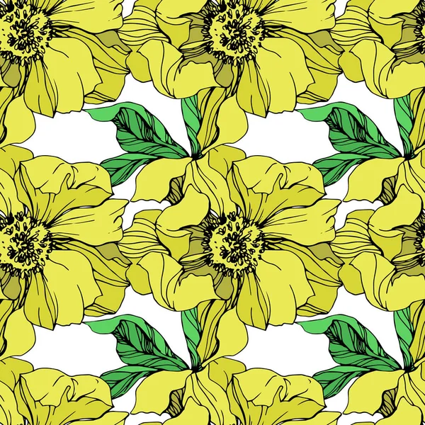 Illustrazione Peonie Isolate Giallo Vettoriale Sfondo Bianco Incisione Inchiostro Art — Vettoriale Stock