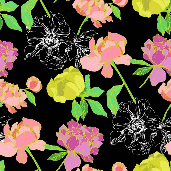 Illustration Vectorielle Des Pivoines Isolées Roses Jaunes Sur Fond Noir — Image vectorielle