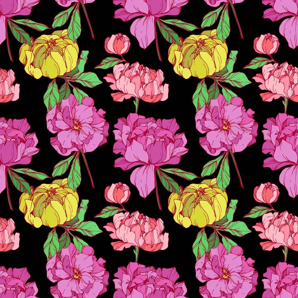 Illustration Vectorielle Des Pivoines Isolées Roses Jaunes Sur Fond Noir — Image vectorielle