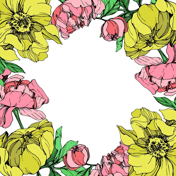 Векторные Выделенные Розовые Желтые Пионы Зелеными Листьями Белом Фоне Гравировка — стоковый вектор