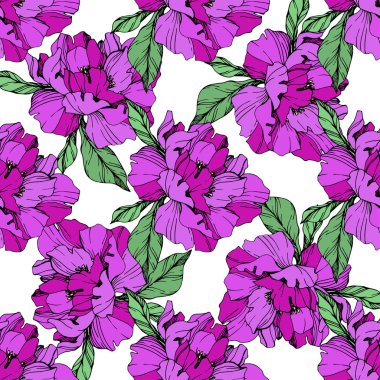 Vektör mor beyaz arka plan üzerinde peonies illüstrasyon izole. Oyulmuş mürekkep sanat. Sorunsuz arka plan deseni. Kumaş duvar kağıdı yazdırma doku.