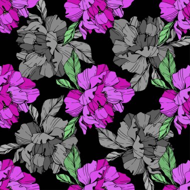 Vektör mor ve gri siyah arka plan üzerine peonies illüstrasyon izole. Oyulmuş mürekkep sanat. Sorunsuz arka plan deseni. Kumaş duvar kağıdı yazdırma doku.