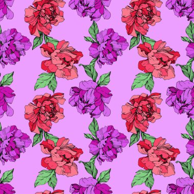 Vektör mor ve yaşam mercan mor zemin üzerine peonies illüstrasyon izole. Oyulmuş mürekkep sanat. Sorunsuz arka plan deseni. Kumaş duvar kağıdı yazdırma doku.