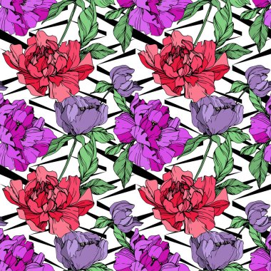 Beyaz arka plan üzerinde vektör mor ve yaşam mercan peonies çizim. Oyulmuş mürekkep sanat. Sorunsuz arka plan deseni. Kumaş duvar kağıdı yazdırma doku.