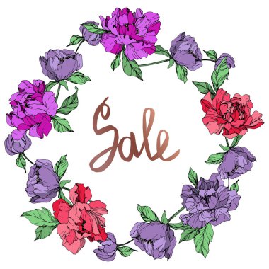 Mercan ve mor izole peonies beyaz arka plan üzerinde yaşayan vektör. Oyulmuş mürekkep sanat. Çerçeve kenarlığı süsleme Satılık yazı ile.
