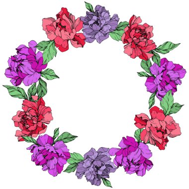 Mercan ve mor izole peonies beyaz arka plan üzerinde yaşayan vektör. Oyulmuş mürekkep sanat. Çerçeve kenarlığı süsleme kopya alanı ile.