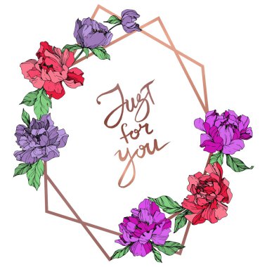 Mercan ve mor izole peonies beyaz arka plan üzerinde yaşayan vektör. Oyulmuş mürekkep sanat. Çerçeve kenarlığı süsleme ile sizin yazı için.