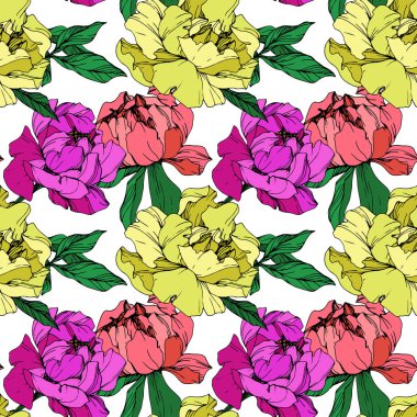Vektör mor, mercan ve sarı izole peonies resimde beyaz arka plan üzerinde yaşayan. Oyulmuş mürekkep sanat. Sorunsuz arka plan deseni. Kumaş duvar kağıdı yazdırma doku.