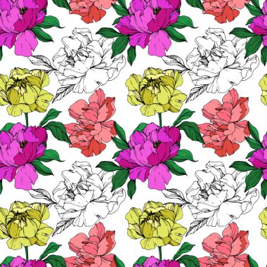 Mor, mercan ve sarı izole peonies yaşayan vektör çizim ve eskiz beyaz arka plan üzerinde. Oyulmuş mürekkep sanat. Sorunsuz arka plan deseni. Kumaş duvar kağıdı yazdırma doku.