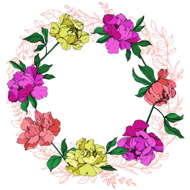 Vektör izole yaşayan mercan, mor ve sarı peonies yeşil beyaz zemin üzerine bırakır. Oyulmuş mürekkep sanat. Çerçeve kenarlığı süsleme kopya alanı ile.
