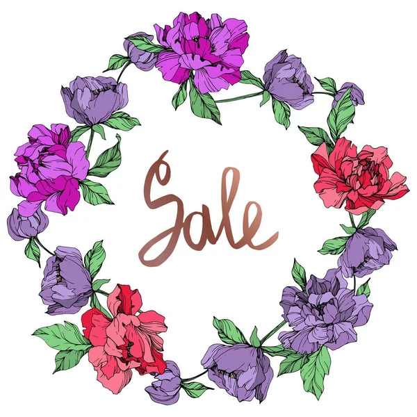 Mercan ve mor izole peonies beyaz arka plan üzerinde yaşayan vektör. Oyulmuş mürekkep sanat. Çerçeve kenarlığı süsleme Satılık yazı ile.