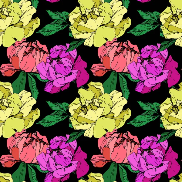 Vecteur Violet Corail Vivant Pivoines Jaunes Isolées Illustration Sur Fond — Image vectorielle