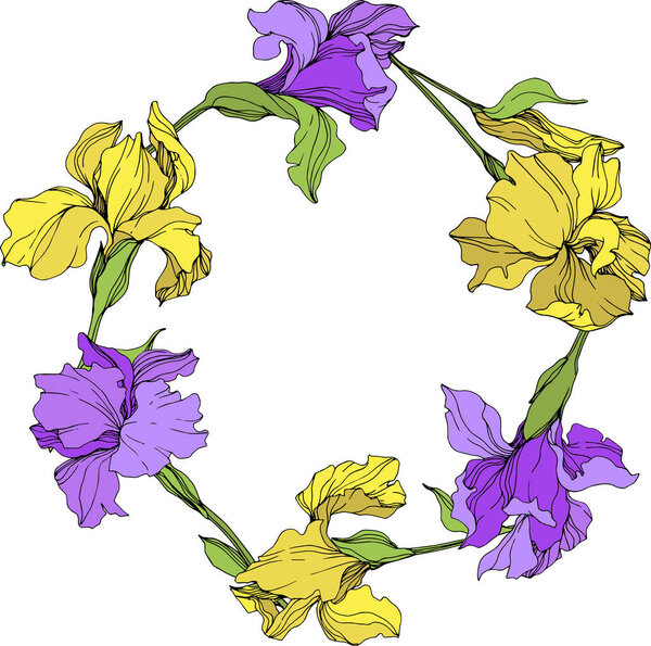 Vector yellow and purple isolated irises illustration. Frame border ornament with copy space.
