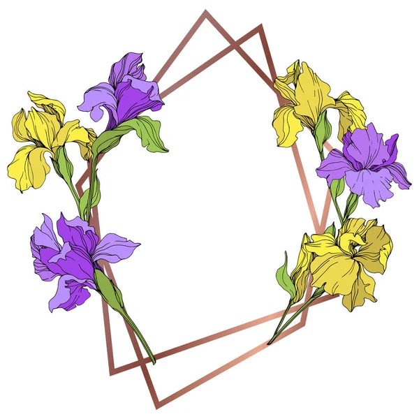 Illustration Iris Isolés Jaune Vectoriel Violet Cadre Bordure Ornement Avec — Image vectorielle