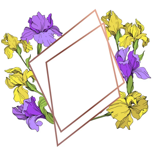 Irises Vetoriais Amarelas Roxas Isoladas Ilustração Ornamento Borda Quadro Com — Vetor de Stock