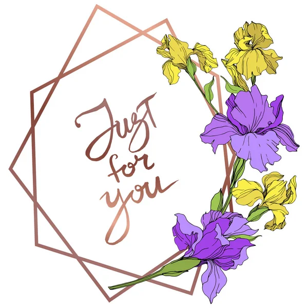 Vector Yellow Purple Isolated Irises Illustration Frame Border Ornament Just — Stock Vector