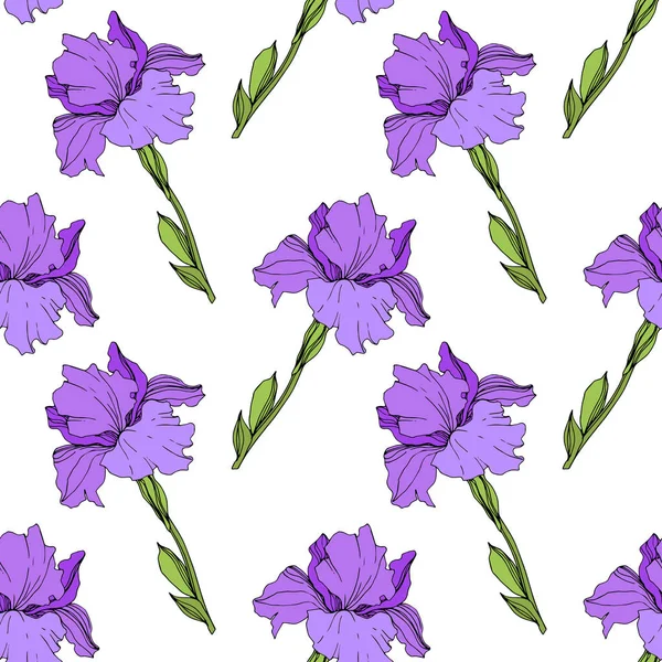 Iris Violet Isolés Vectoriels Modèle Fond Sans Couture Texture Impression — Image vectorielle