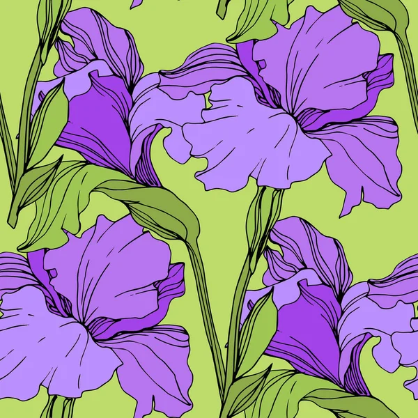 Iris Violet Isolés Vectoriels Modèle Fond Sans Couture Texture Impression — Image vectorielle