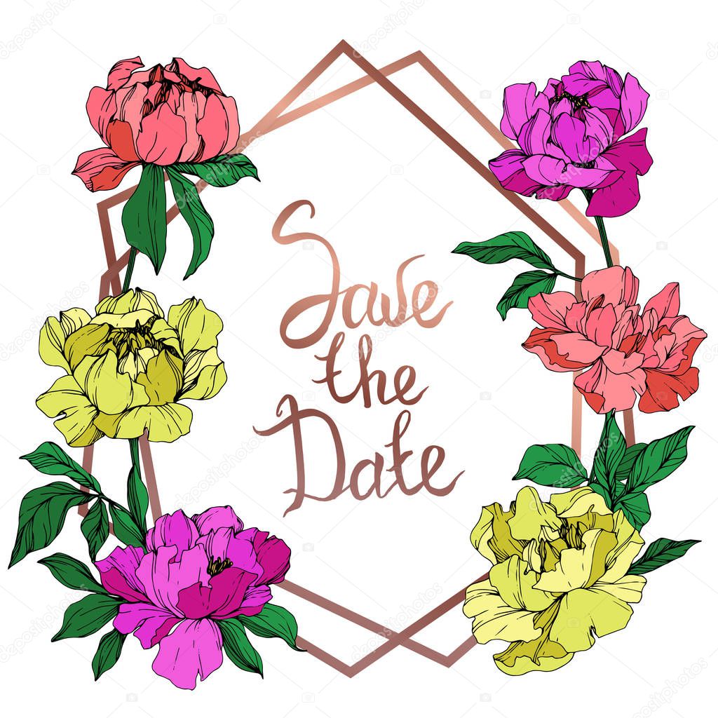 Vector isolated living coral, purple and yellow peonies with green leaves on white background. Engraved ink art. Frame border ornament with save the date lettering.