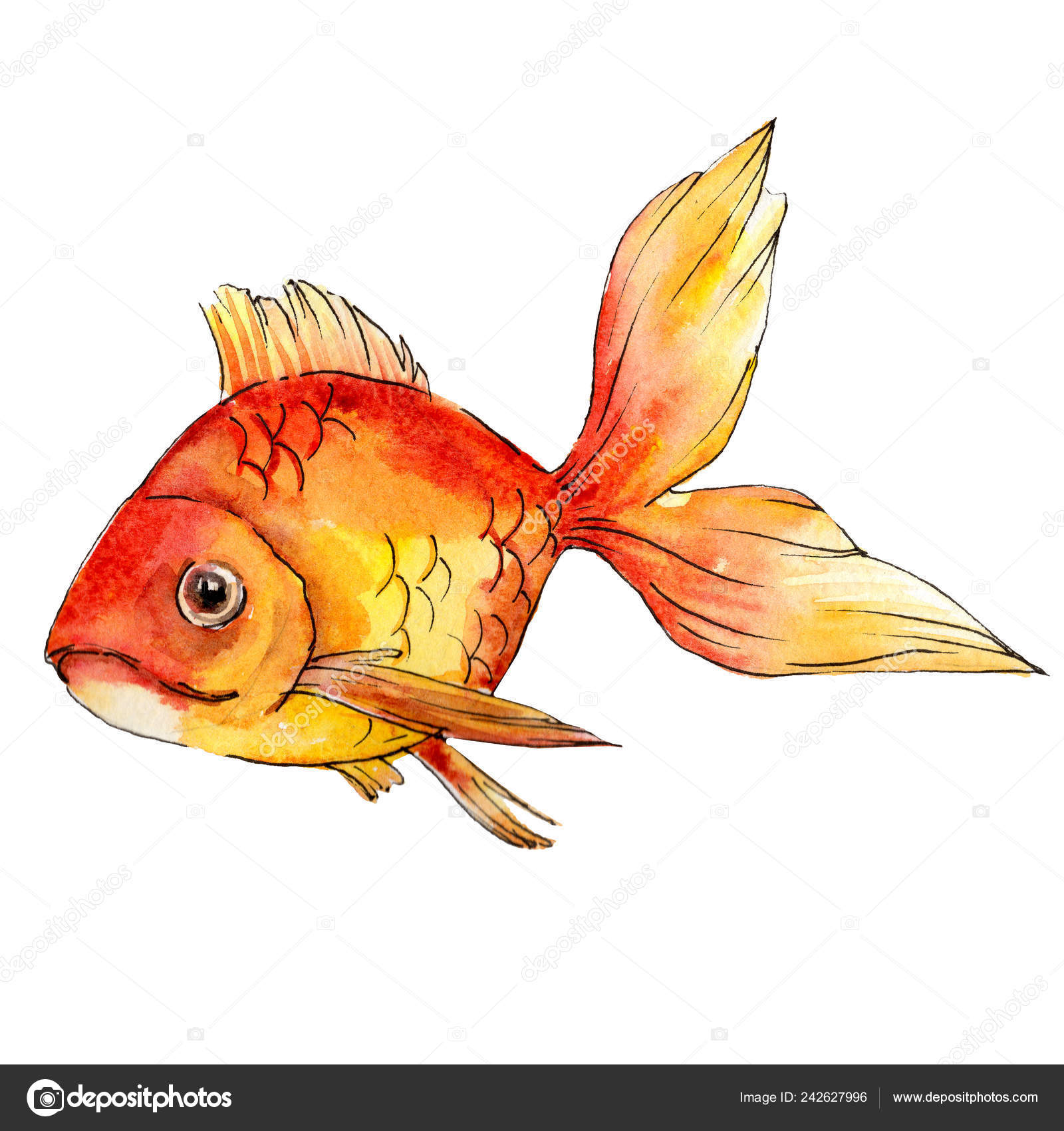 ᐈ Pesce Colorato Foto Di Stock Disegni Pesci Colorati Scarica Su Depositphotos