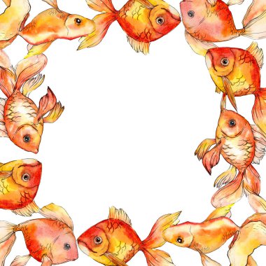 Sulu boya su renkli goldfishes illüstrasyon izole beyaz. Çerçeve kenarlığı süsleme kopya alanı ile.