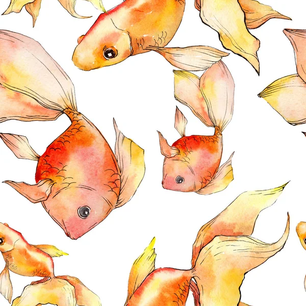 Watercolor Aquatic Colorful Goldfishes Isolated White Illustration Set Seamless Background — Stock Photo, Image