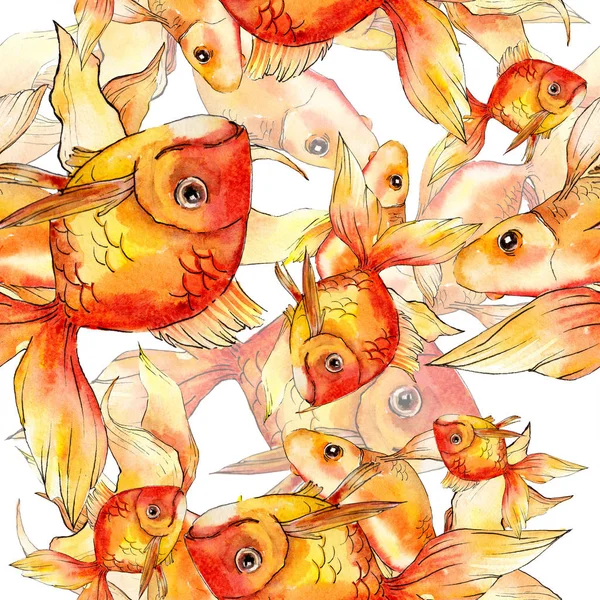 Watercolor Aquatic Colorful Goldfishes Isolated White Illustration Set Seamless Background — Stock Photo, Image