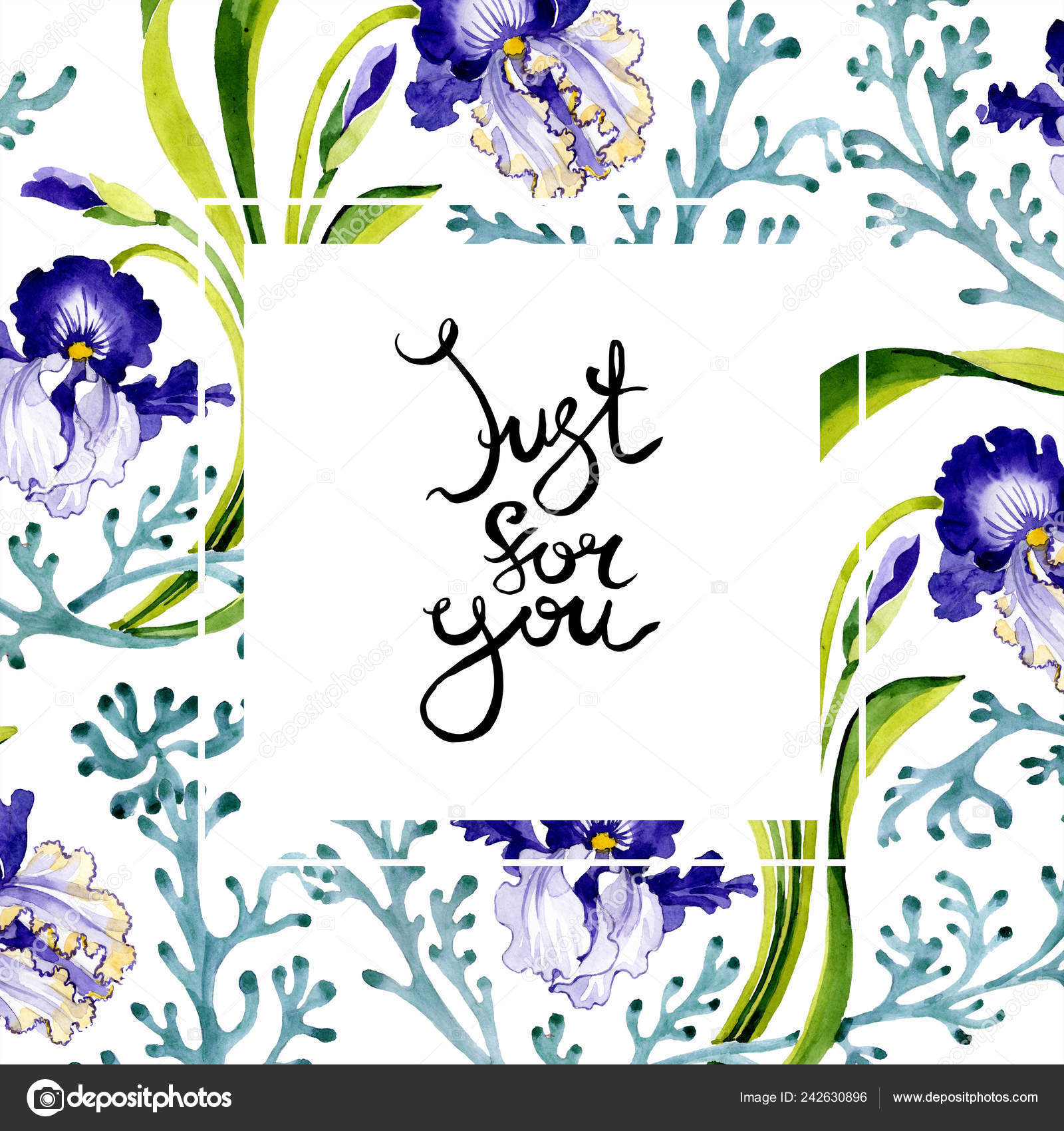 Blue Iris Floral Botanical Flower Wild Spring Leaf Wildflower Isolated Stock Photo By C Andreyanush