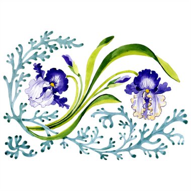 Mavi iris botanik çiçek. Vahşi bahar yaprak izole kır çiçeği. Suluboya arka plan illüstrasyon küme. Suluboya çizim moda aquarelle izole. İzole süsleme illüstrasyon öğesi.