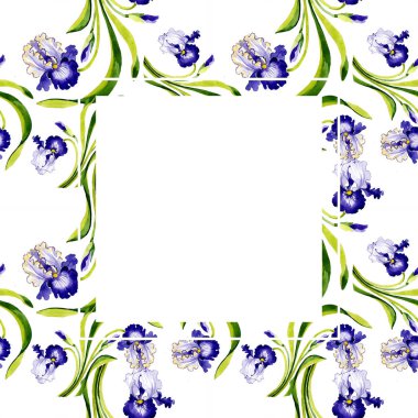 Mavi iris botanik çiçek. Vahşi bahar yaprak izole kır çiçeği. Suluboya arka plan illüstrasyon küme. Suluboya çizim moda aquarelle. Çerçeve kenarlığı süsleme Meydanı.