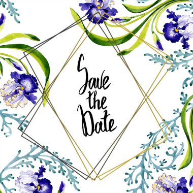 Mavi iris botanik çiçek. Vahşi bahar yaprak izole kır çiçeği. Suluboya arka plan illüstrasyon küme. Suluboya çizim moda aquarelle. Çerçeve kenarlığı süsleme Meydanı.