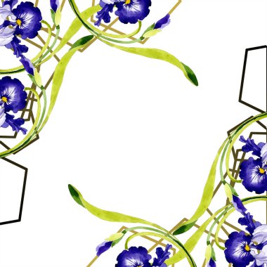Mavi iris botanik çiçek. Vahşi bahar yaprak izole kır çiçeği. Suluboya arka plan illüstrasyon küme. Suluboya çizim moda aquarelle. Çerçeve kenarlığı süsleme Meydanı.