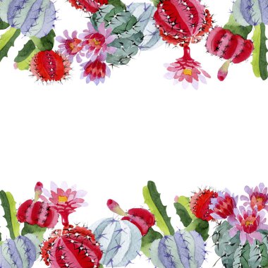Yeşil ve kırmızı kaktüsler üzerinde beyaz izole çiçekli. Suluboya arka plan illüstrasyon küme. Çerçeve kenarlığı süsleme kopya alanı ile.