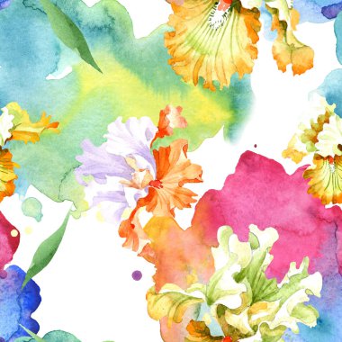 Turuncu beyaz Iris botanik çiçek. Vahşi bahar yaprak izole. Suluboya resim kümesi. Suluboya çizim moda aquarelle. Sorunsuz arka plan deseni. Kumaş duvar kağıdı yazdırma doku.