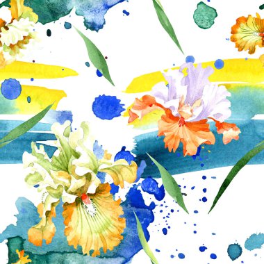 Turuncu beyaz Iris botanik çiçek. Vahşi bahar yaprak izole. Suluboya resim kümesi. Suluboya çizim moda aquarelle. Sorunsuz arka plan deseni. Kumaş duvar kağıdı yazdırma doku.
