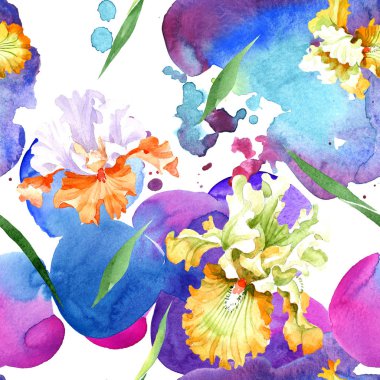 Turuncu beyaz Iris botanik çiçek. Vahşi bahar yaprak izole. Suluboya resim kümesi. Suluboya çizim moda aquarelle. Sorunsuz arka plan deseni. Kumaş duvar kağıdı yazdırma doku.