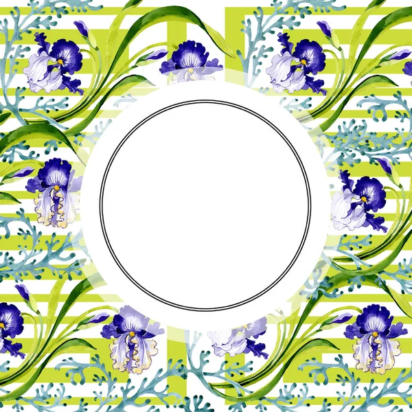 Fiore Botanico Floreale Iris Blu Fiore Selvatico Primaverile Isolato Acquerello — Foto Stock