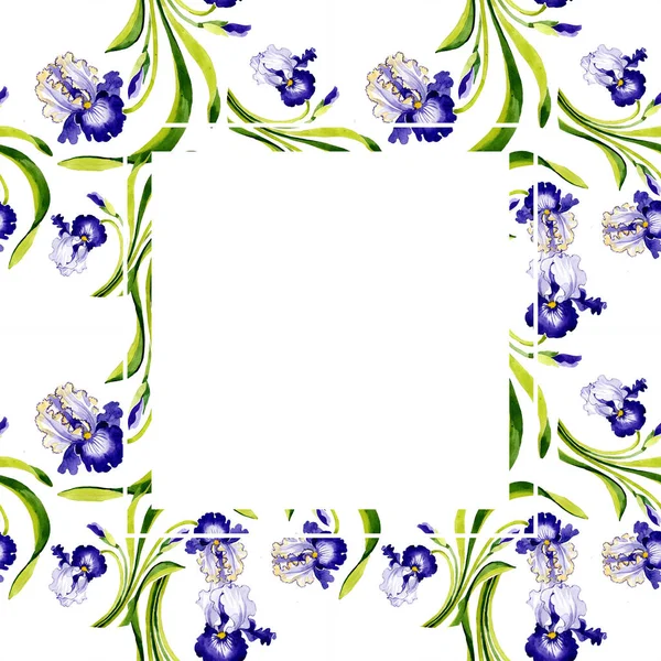 Flor Botánica Floral Iris Azul Flor Silvestre Hoja Primavera Aislada — Foto de Stock