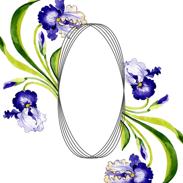 Μπλε Φλοράλ Βοτανικό Ίριδα Άγρια Άνοιξη Φύλλων Wildflower Απομονωμένη Ακουαρέλα — Φωτογραφία Αρχείου