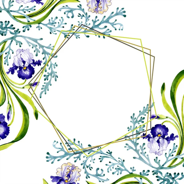 Μπλε Φλοράλ Βοτανικό Ίριδα Άγρια Άνοιξη Φύλλων Wildflower Απομονωμένη Ακουαρέλα — Φωτογραφία Αρχείου