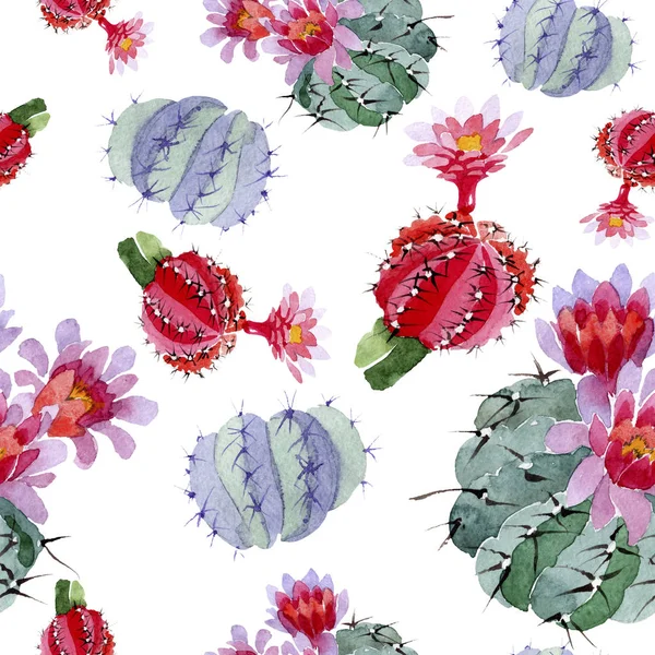 Conjunto Ilustración Acuarela Cactus Verdes Rojos Patrón Fondo Sin Costuras — Foto de Stock