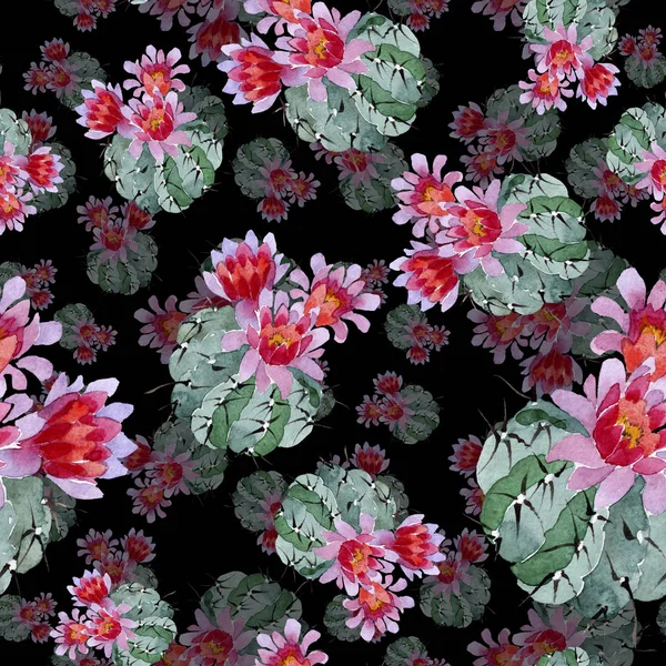 Set Illustrazione Acquerello Cactus Verde Rosso Modello Sfondo Senza Soluzione — Foto Stock