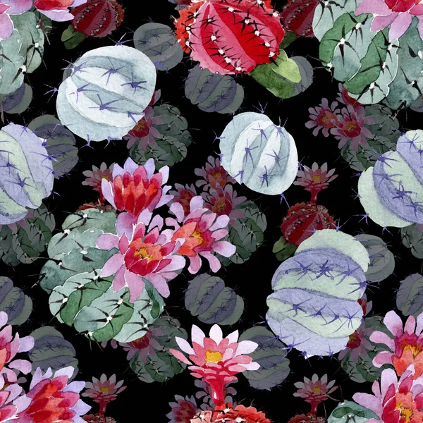 Conjunto Ilustración Acuarela Cactus Verdes Rojos Patrón Fondo Sin Costuras — Foto de Stock