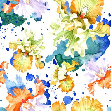 Turuncu beyaz Iris botanik çiçek. Vahşi bahar yaprak izole. Suluboya resim kümesi. Suluboya çizim moda aquarelle. Sorunsuz arka plan deseni. Kumaş duvar kağıdı yazdırma doku.