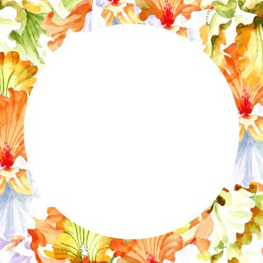 Turuncu beyaz Iris botanik çiçek. Vahşi bahar yaprak izole kır çiçeği. Suluboya arka plan illüstrasyon küme. Suluboya çizim moda aquarelle izole. Çerçeve kenarlığı süsleme Meydanı.