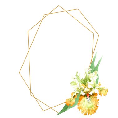 Turuncu beyaz Iris botanik çiçek. Vahşi bahar yaprak izole kır çiçeği. Suluboya arka plan illüstrasyon küme. Suluboya çizim moda aquarelle izole. Çerçeve kenarlığı süsleme Meydanı.