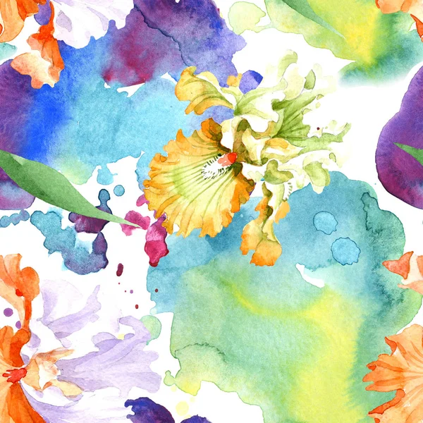 Orangefarbene Weiße Iris Botanische Blume Wildes Frühlingsblatt Isoliert Aquarell Illustrationsset — Stockfoto