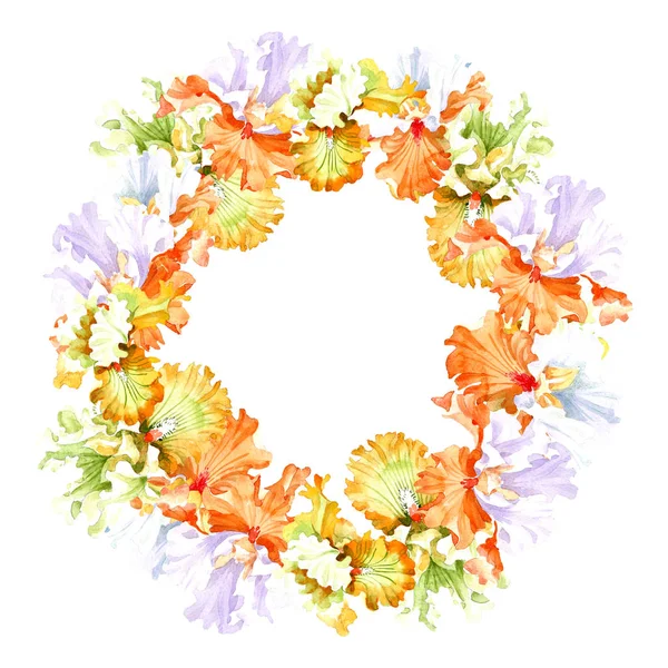 Помаранчева Біла Ірисова Квіткова Ботанічна Квітка Дикий Весняний Лист Ізольований — стокове фото
