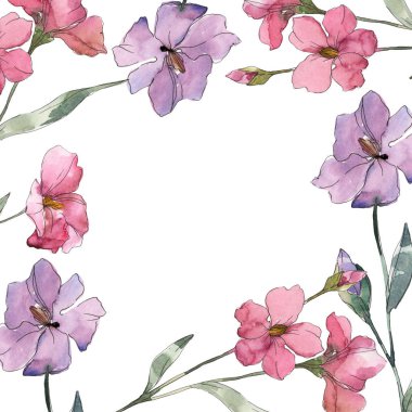 Pembe ve mor keten botanik çiçek. Vahşi bahar yaprak izole kır çiçeği. Suluboya arka plan illüstrasyon küme. Suluboya çizim moda aquarelle. Çerçeve kenarlığı süsleme Meydanı.