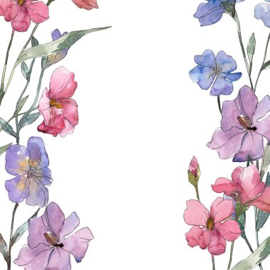Pembe ve mor keten botanik çiçek. Vahşi bahar yaprak izole kır çiçeği. Suluboya arka plan illüstrasyon küme. Suluboya çizim moda aquarelle. Çerçeve kenarlığı süsleme Meydanı.